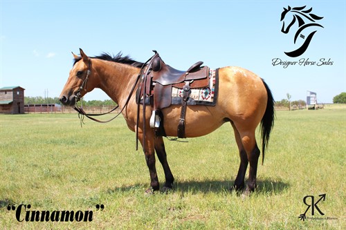 Horse Classified Ad CINNAMON