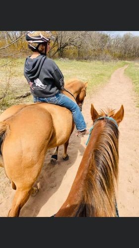 Dixi is a 2000 registered APHA solid paint mare.  She knows all the WSCA patterns, has done pole bending, 4h, trail rides, swimming, skijoring, and roping. She’s a great all around horse. Loads great, camps overnight, stands good for the farrier and baths.