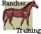 Horse Ranches and Training Stables